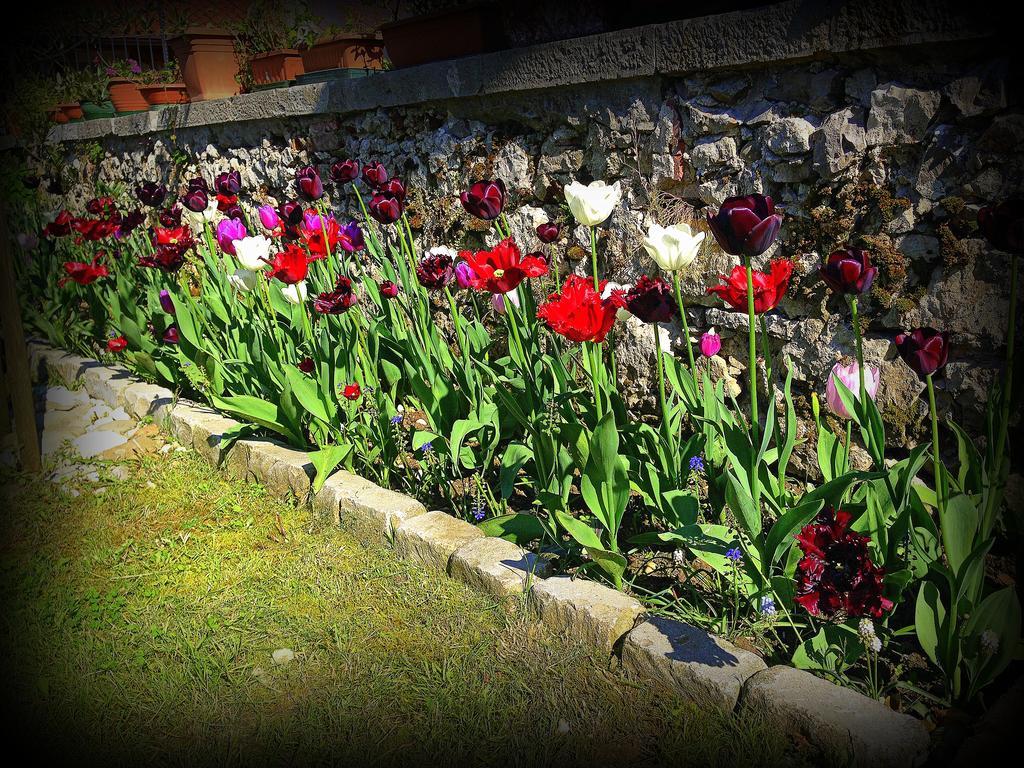 Agriturismo Borgovecchio Romans d'Isonzo Екстер'єр фото